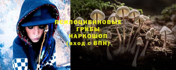 ешки Аркадак