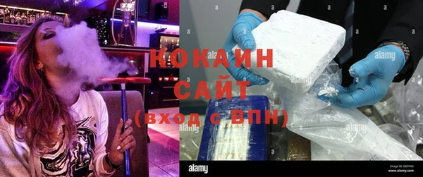 твердый Алзамай