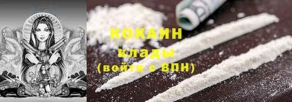 твердый Алзамай